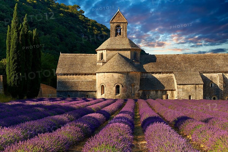 The Romanesque Cistercian Abbey of Notre Dame of Senanque