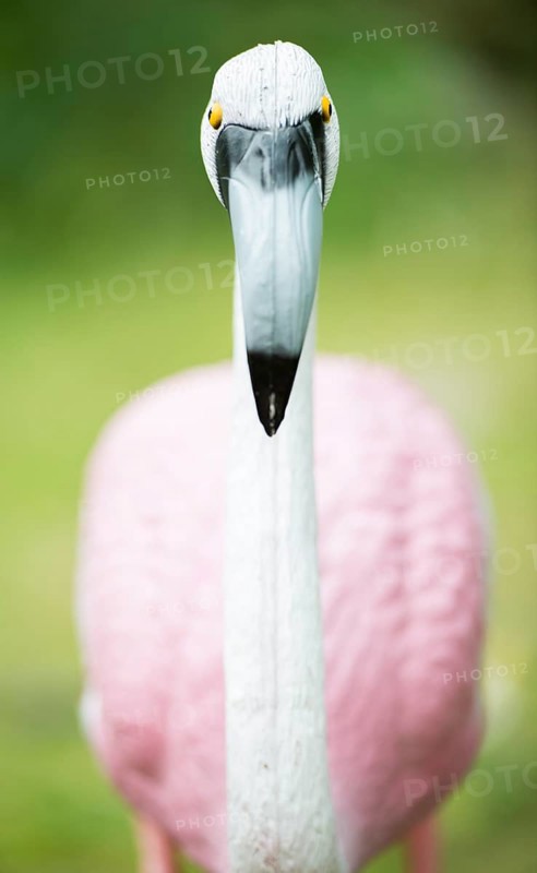 Pink flamingo garden ornament