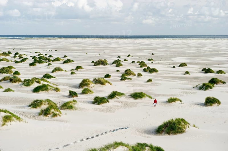 Dunes and beach