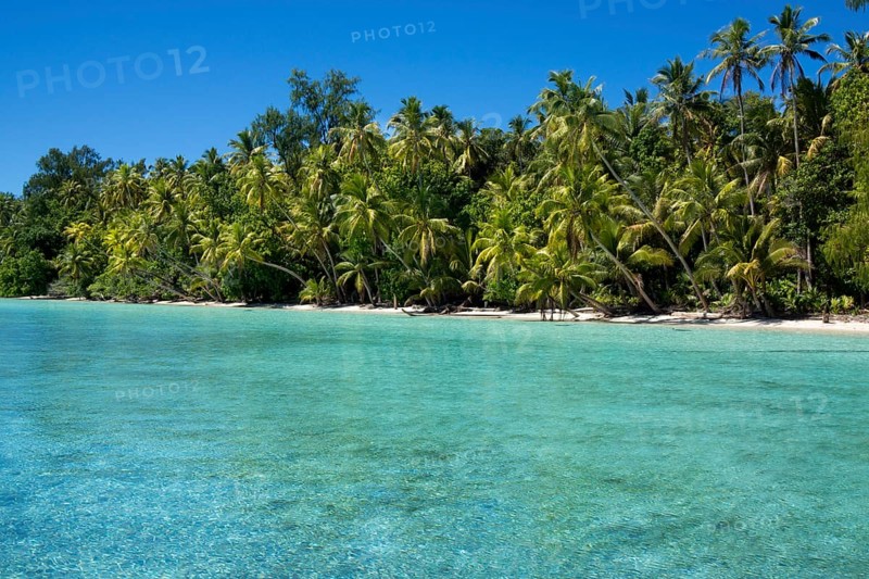 Lagoon with a sandy beach and palm trees
