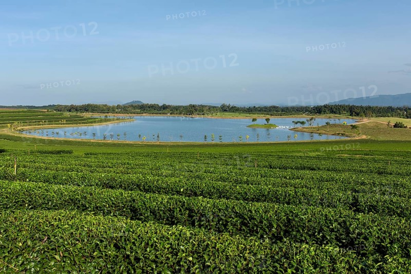 Boon Rawd Farm