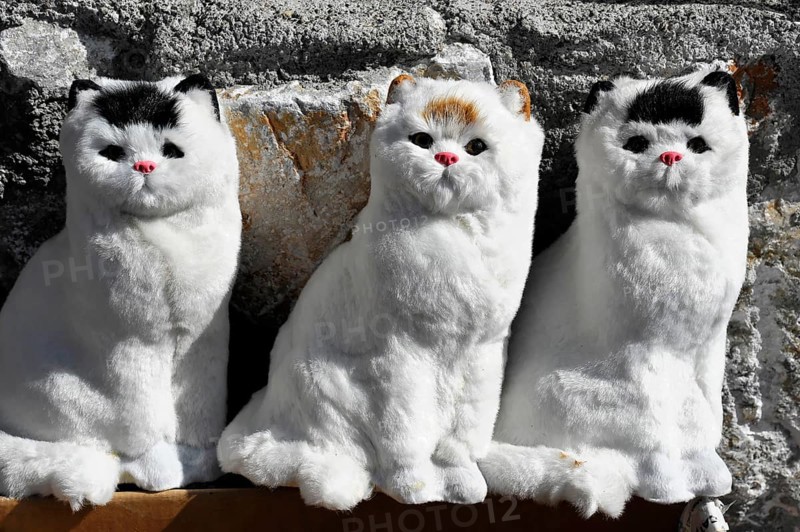 Cat plush toys on sale at a stand in Akyaka
