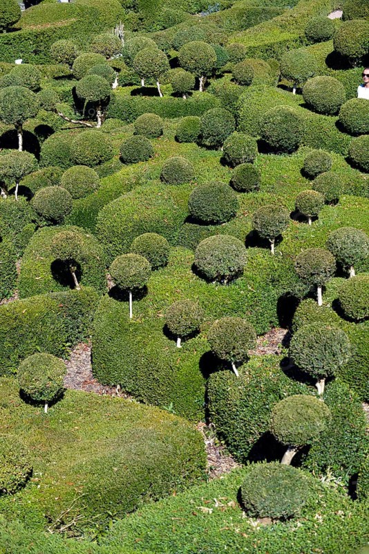 Les Jardins suspendus de Marqueyssac gardens