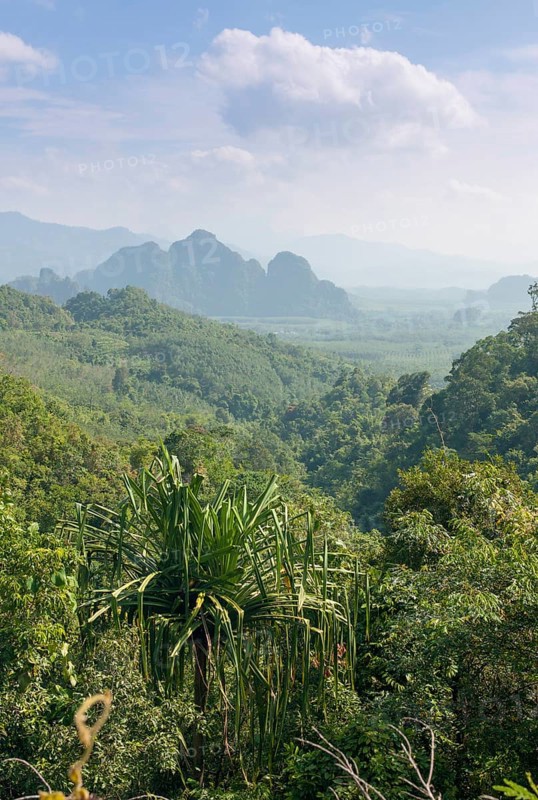 Mountain landscape