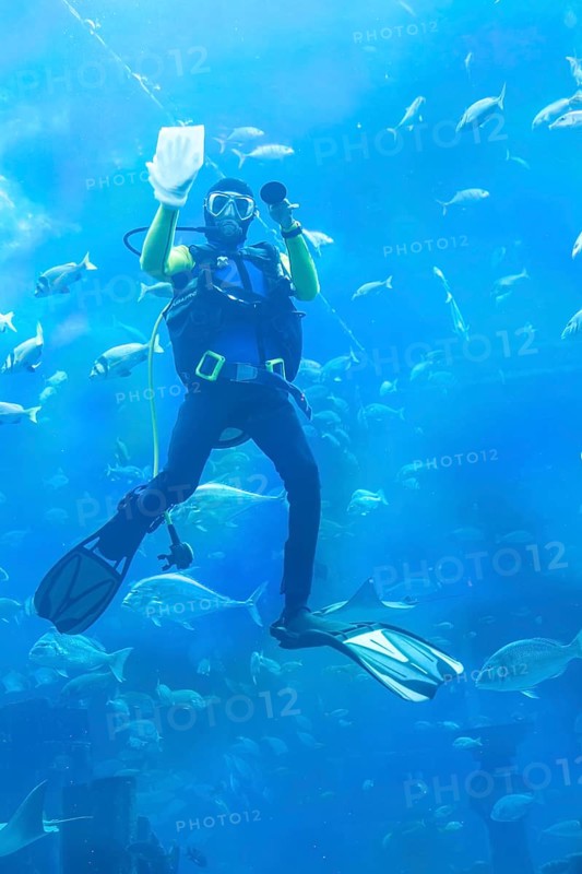 Diver cleans the glass surface in the aquarium