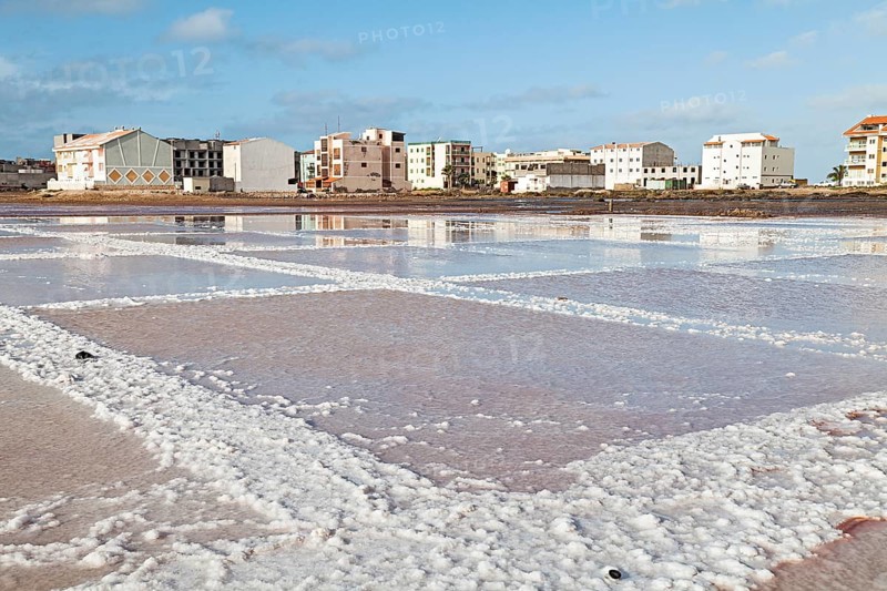 Salt basin in the disused saline