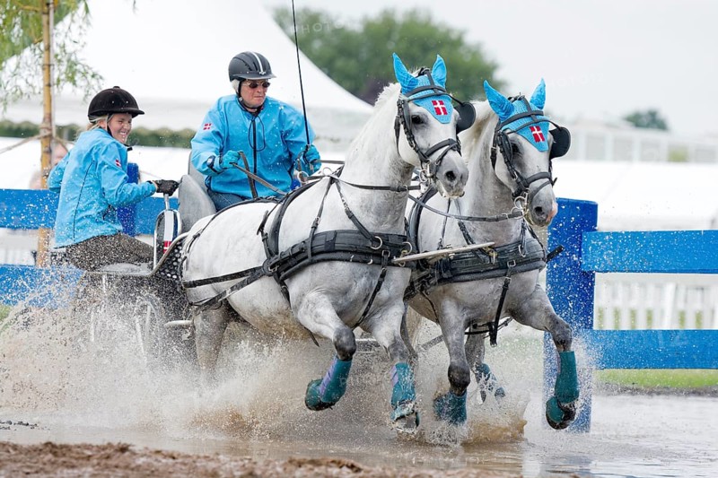 Horse-drawn carriage passing through a water ditch