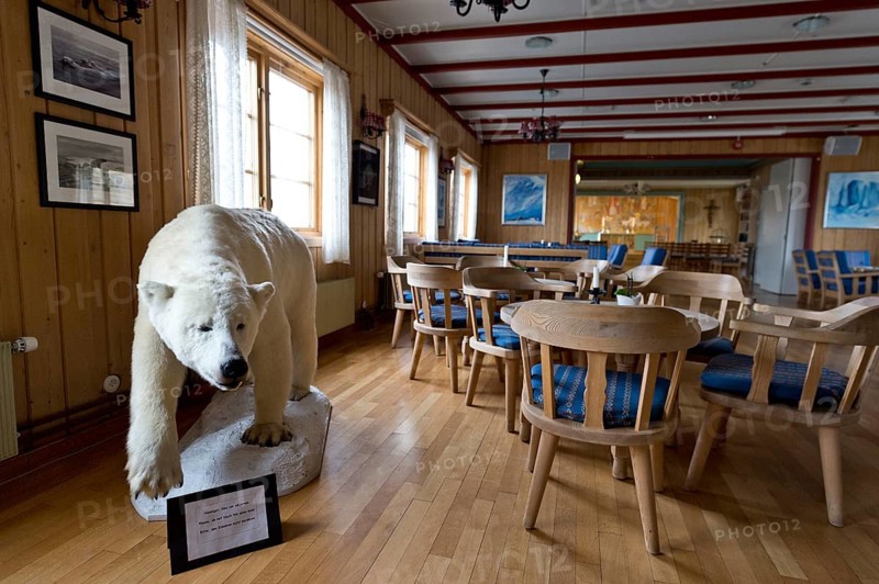 Stuffed Polar Bear inside the Var frelsers kirke pa Spitsbergen or Church of Our Savior on Svalbard