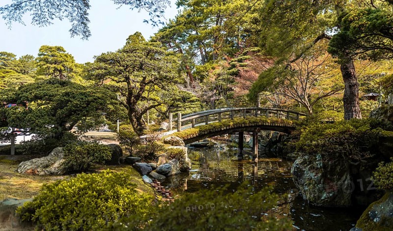 Garden Landscape
