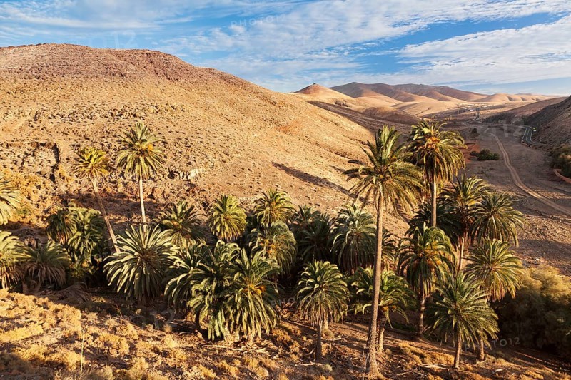 Landscape of Barranco de la Madre de Agua