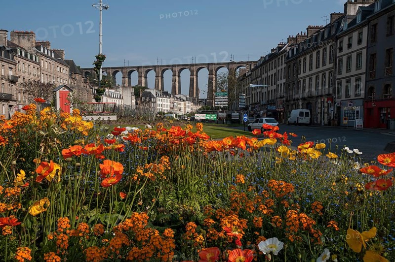 Flowers in front of the Viaduc de Morlaix
