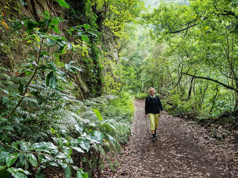 Tourist hiking in the forest of Los Tilos