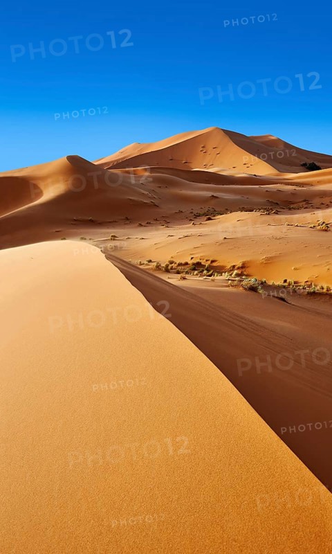 Sand dunes