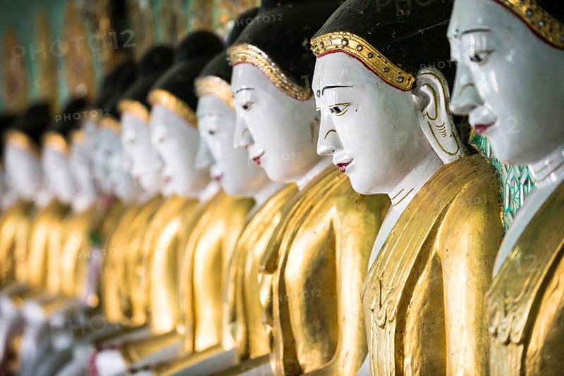 Many seated Buddha sculptures