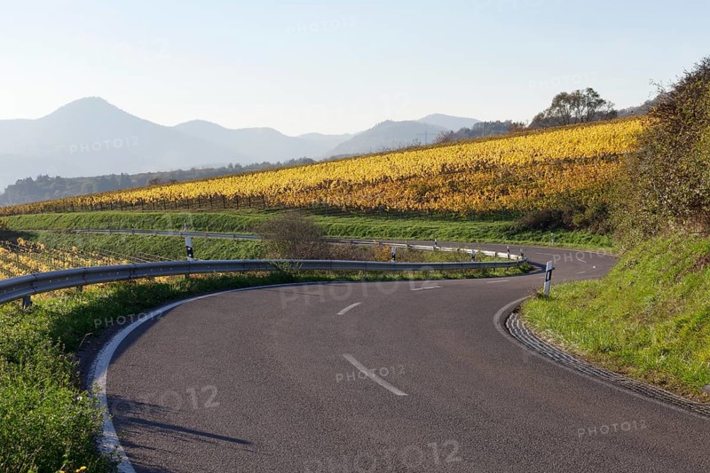 German Wine Route