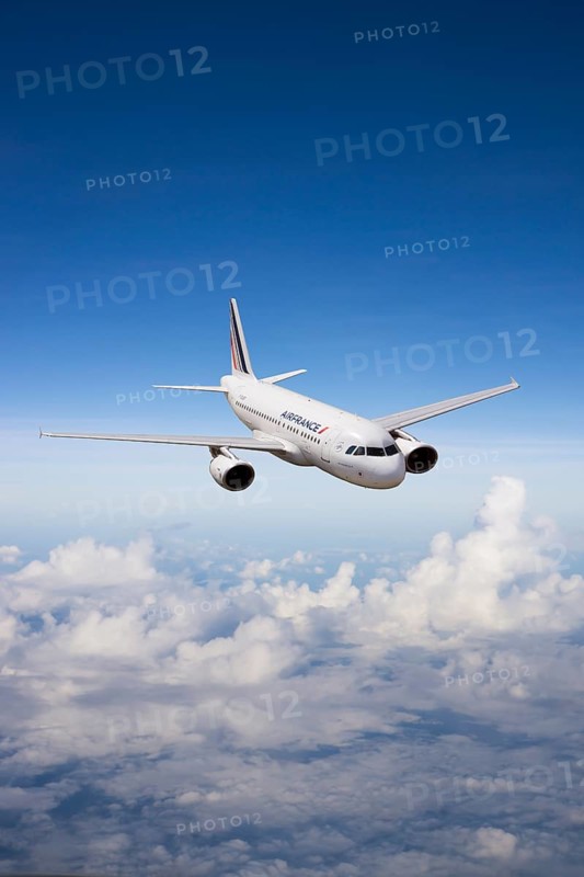 Air France Airbus A318-111 in flight