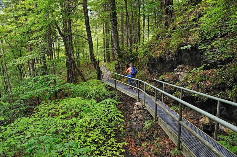 Mountain biker near Hinterstein