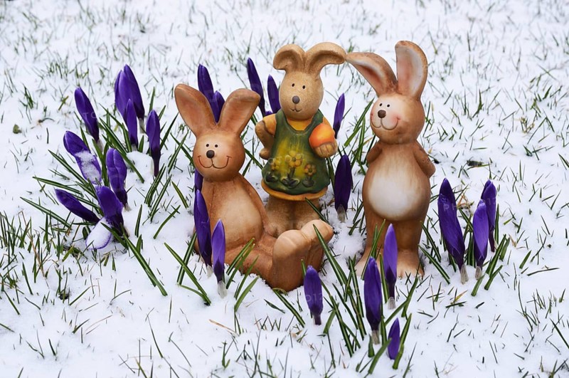 Brown ceramic Easter Bunnies
