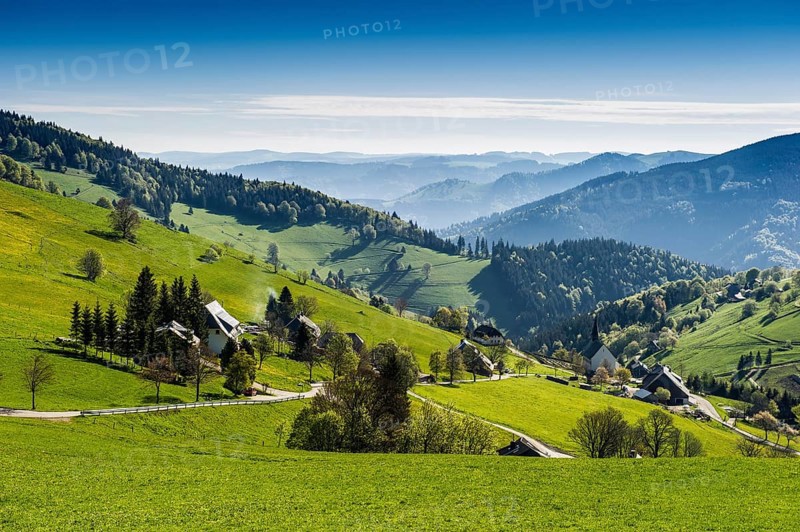 Hofsgrund at Mt Schauinsland