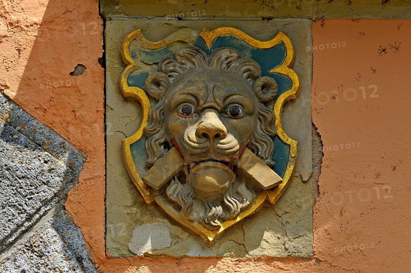 Lion head with chevrons