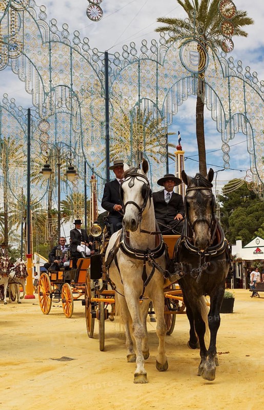Decorated horses and dressed up coachmen at the Feria del Caballo Horse Fair
