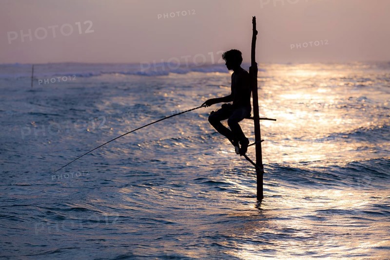 Stilt fisherman fishing in shallow water
