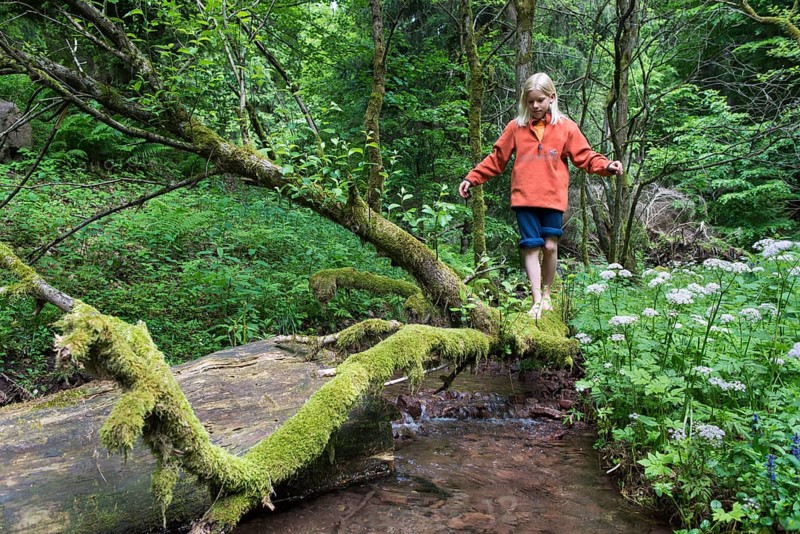 Boy balancing barefoot on a mossy tree trunk at a stream