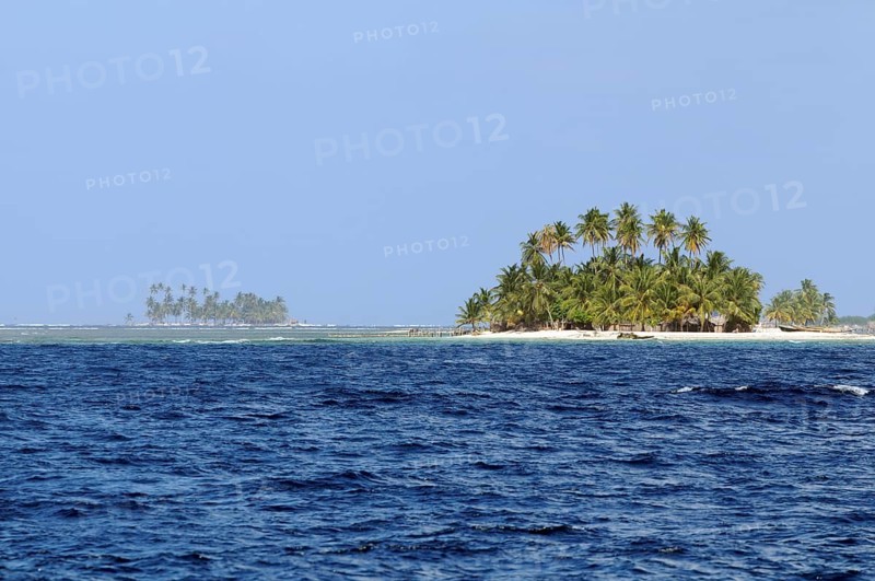 Islands with palm trees