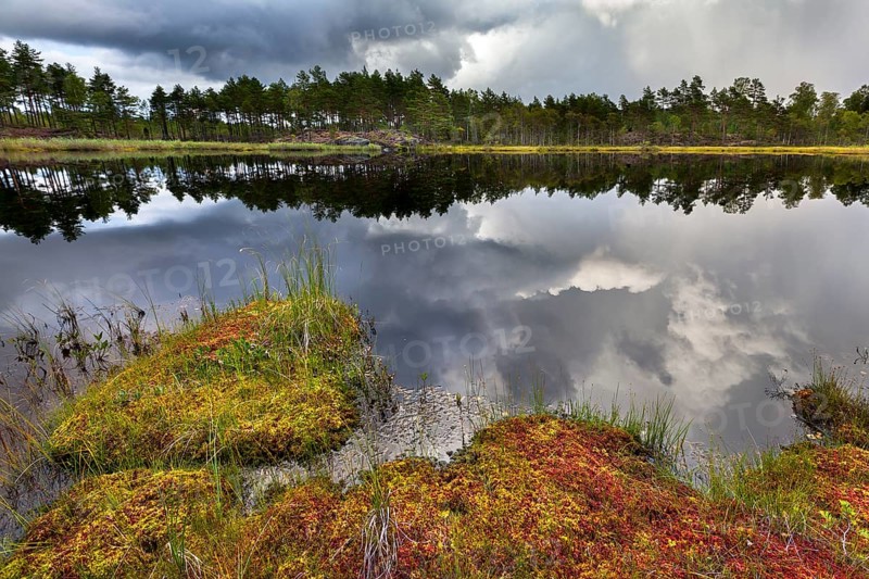 Naveretjarn Lake