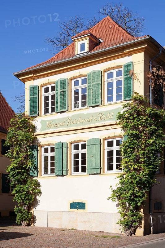 Weingut Reichsrat von Buhl vineyard estate
