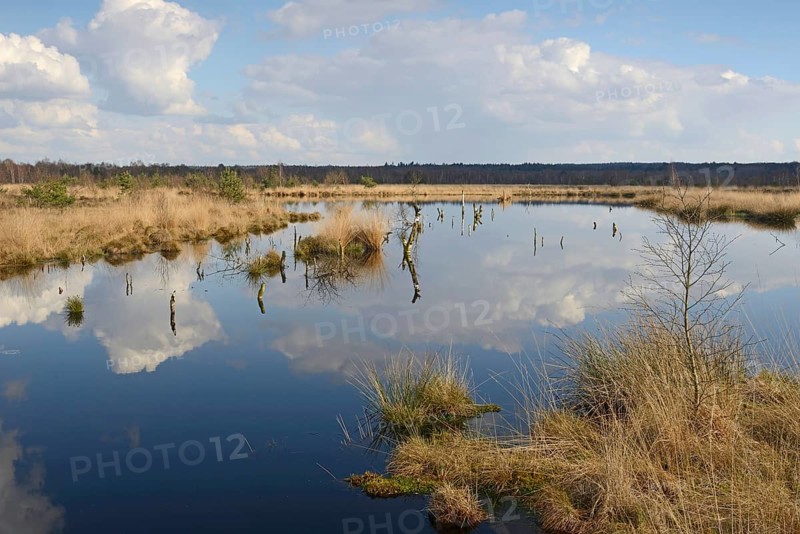 Rewetted moor