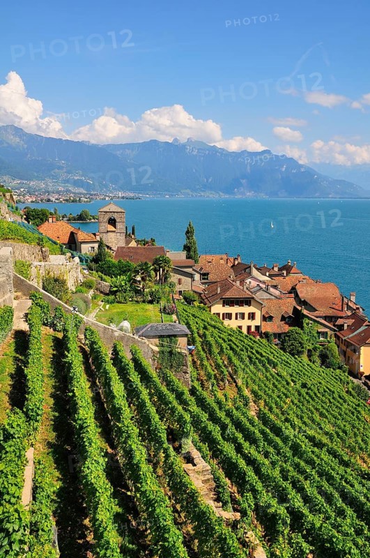 View over the wine-producing village and Lake Geneva towards Lausanne