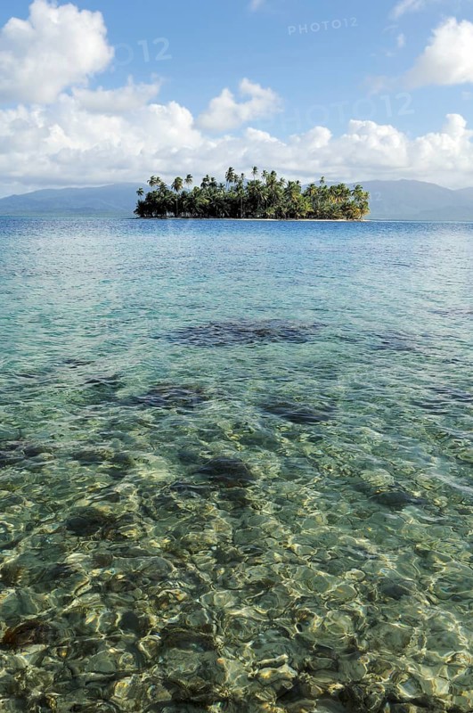 Tropical island with palm trees