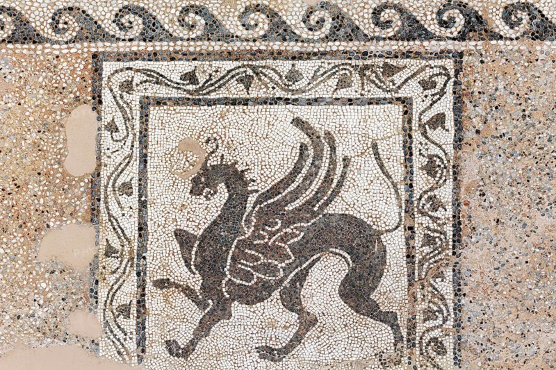 Griffin