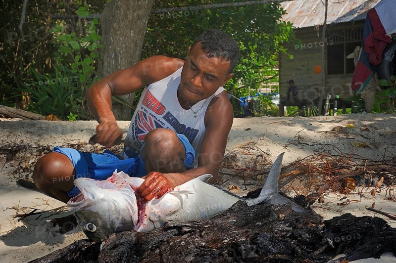 Fisherman gutting a large fish