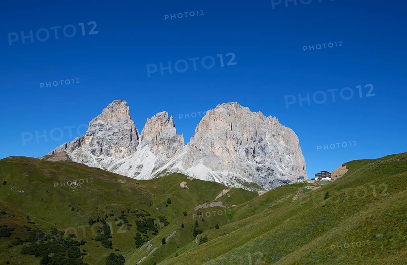 Alpine meadow