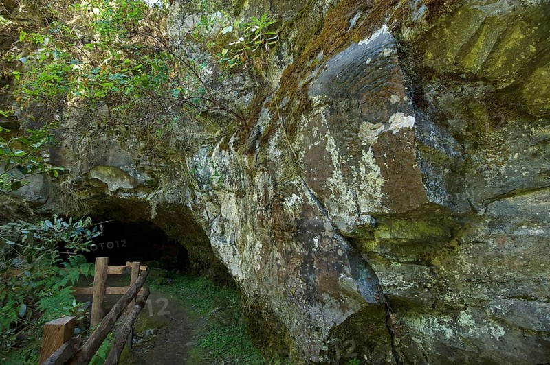 Petroglyphs in the Parque Cultural La Zarza