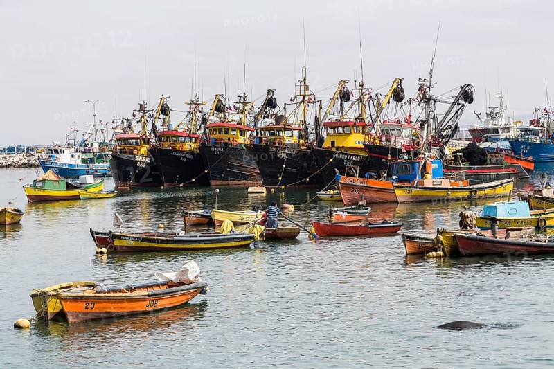 Port of Arica