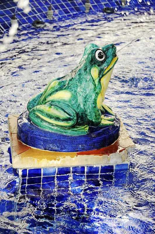 Frog spouting water