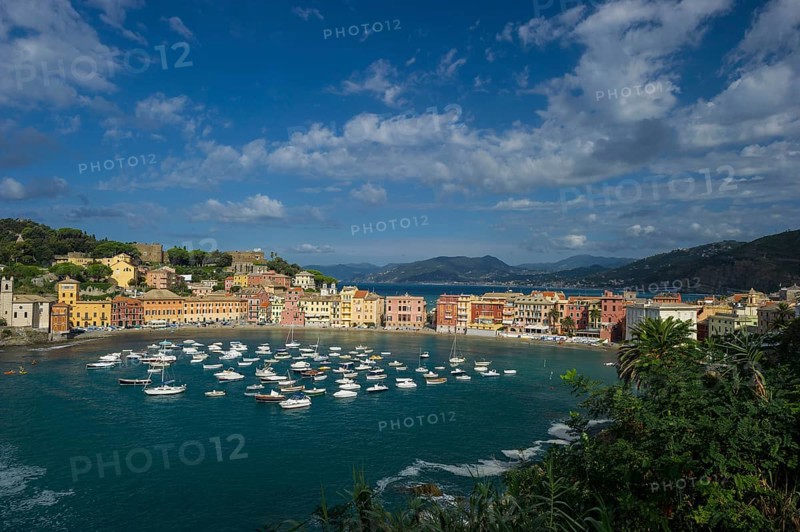 Townscape