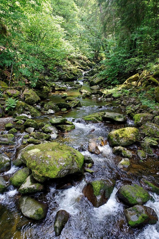 Wolfsteiner Ohe river