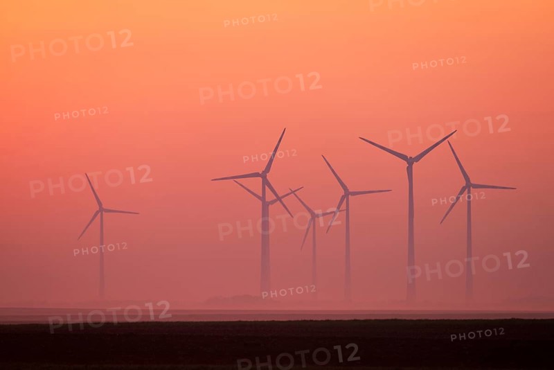 Wind farm in the fog