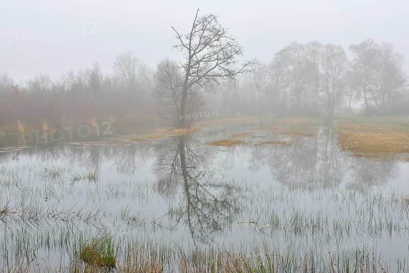 High moor in autumn