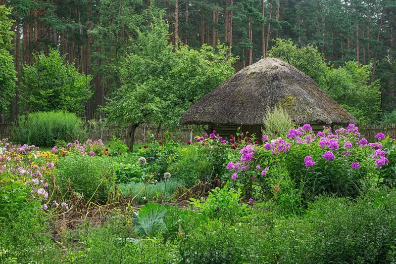 Farmhouse with a garden