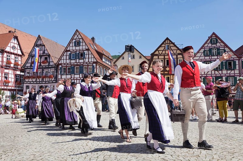 Historical parade
