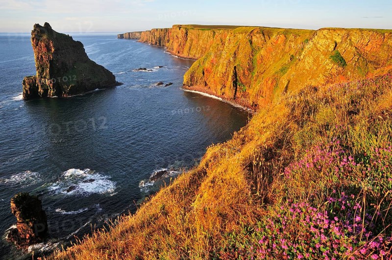 Duncansby Stacks pinnacles in the morning light