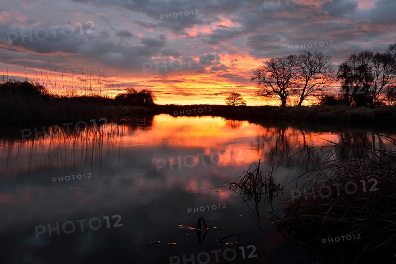 Sunrise over the Leiner See lake in the Middle Elbe Biosphere Reserve