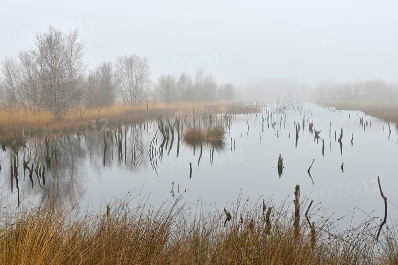 High moor in autumn