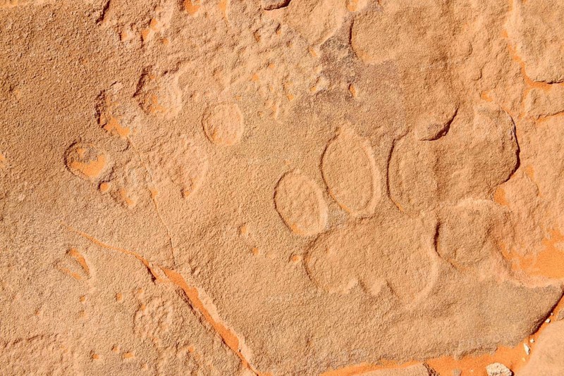 Neolithic rock art