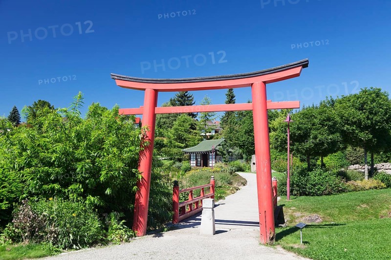 Japanese Garden